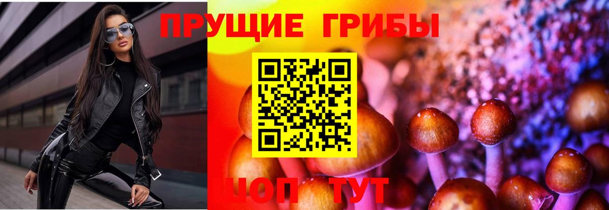 купить  цена  Вход с VPN  Гай  Псилоцибиновые грибы прущие грибы 